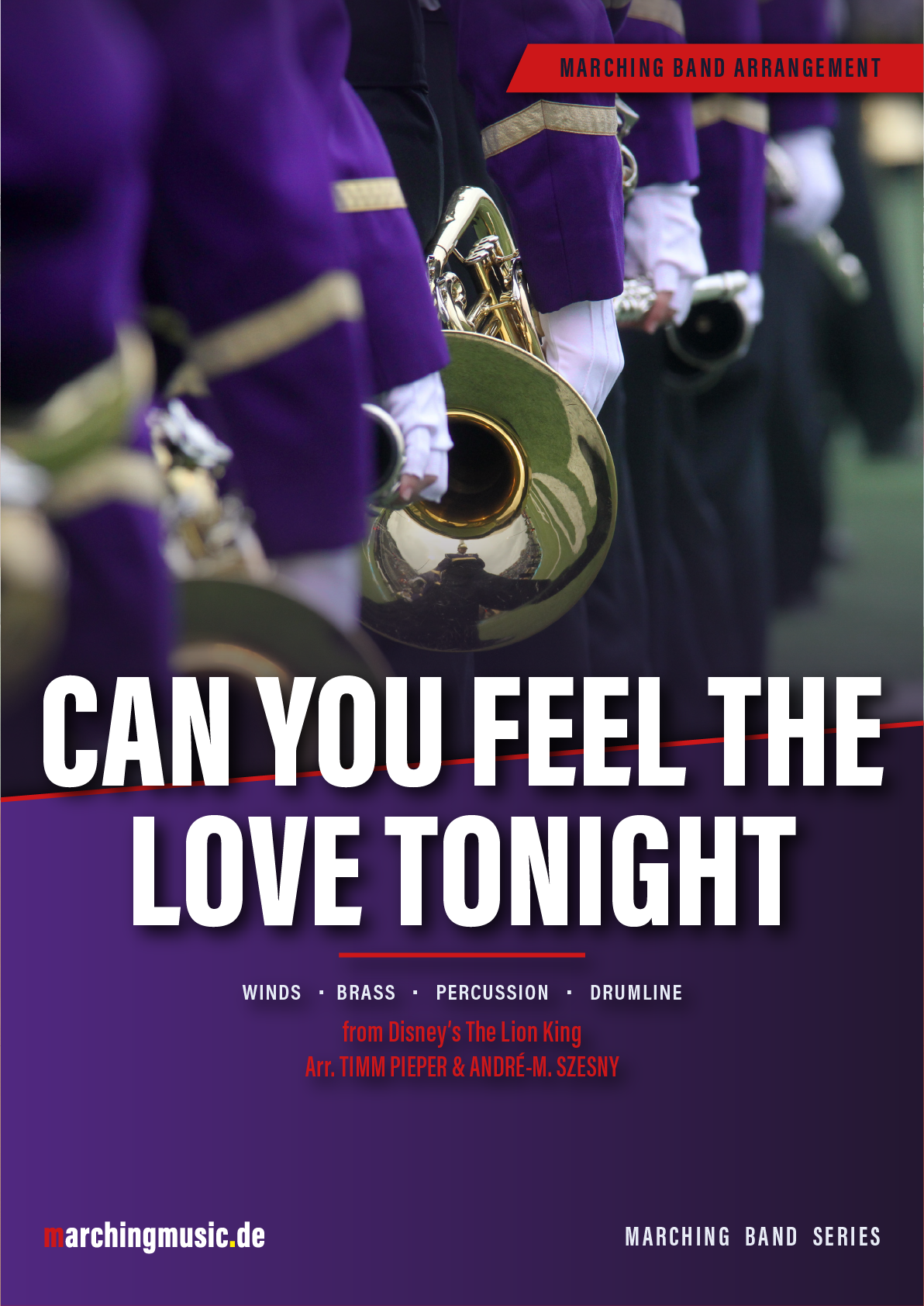 CAN YOU FEEL THE LOVE TONIGHT