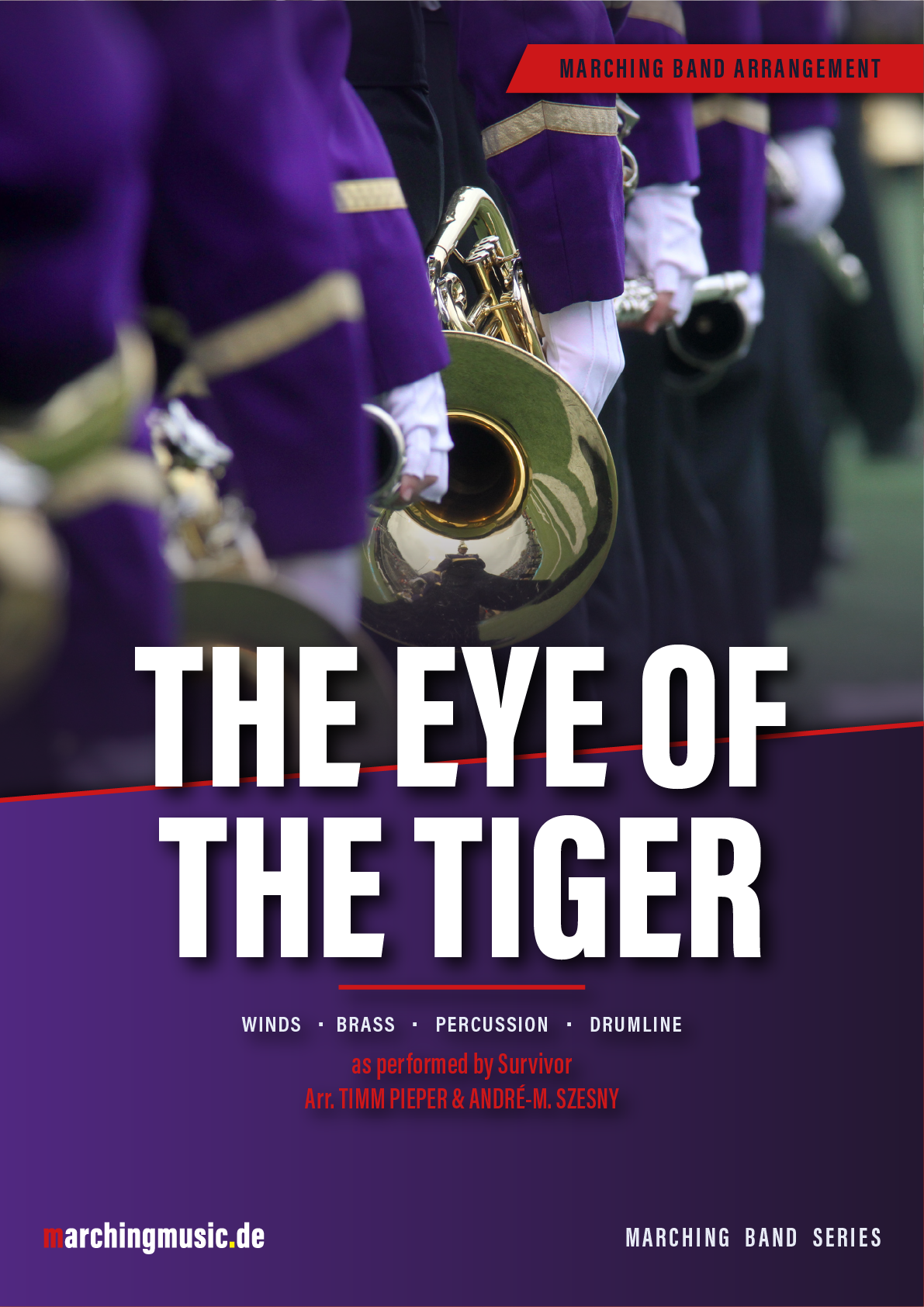 THE EYE OF THE TIGER